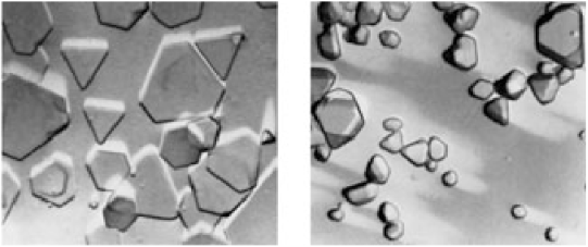 KODAK T-GRAIN emulsion  and Conventional silver-halide crystals 