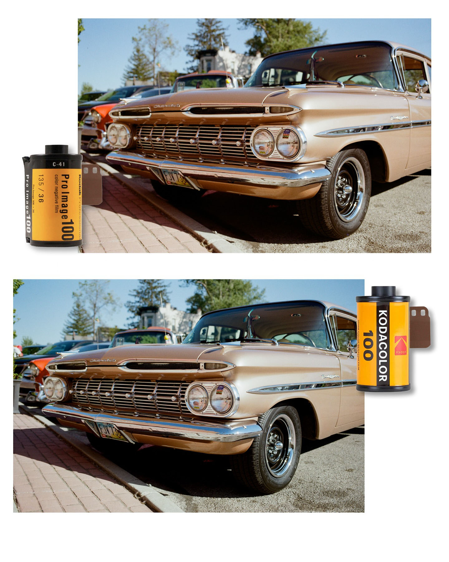 Kodacolor 100  vs Pro Image 100