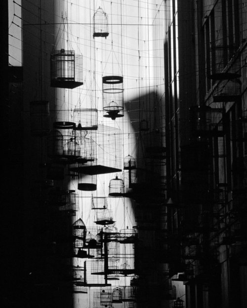 Kodak T-MAX 100 Olympus Pen FT