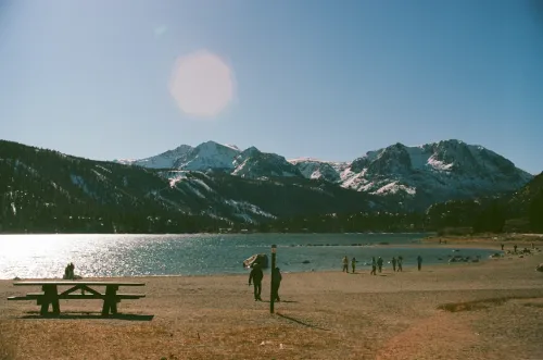  Kono color 200 Nikon F2 зернистість