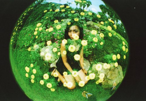 Fisheye-2 Kodak Elitechrome EBX (Expired)