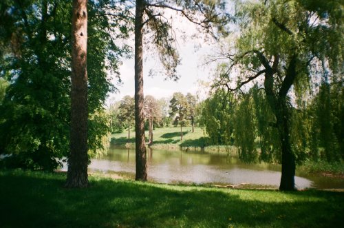 Wizen Memo-1 Fujicolor 200