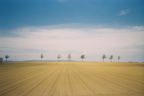 Lomography Color Negative 400